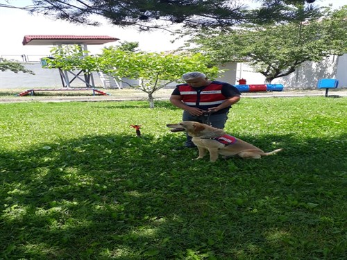 Erzincan İl Jandarma Komutanlığı Köpek Timi